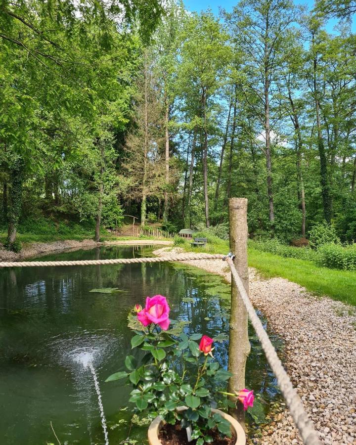 Maison Jenny Hotel Restaurant & Spa Hagenthal-le-Bas Dış mekan fotoğraf