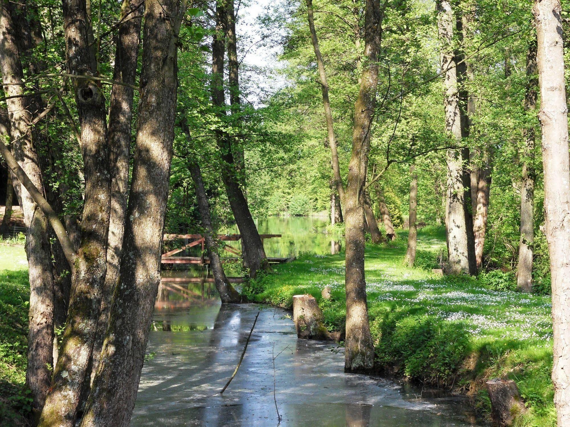Maison Jenny Hotel Restaurant & Spa Hagenthal-le-Bas Dış mekan fotoğraf